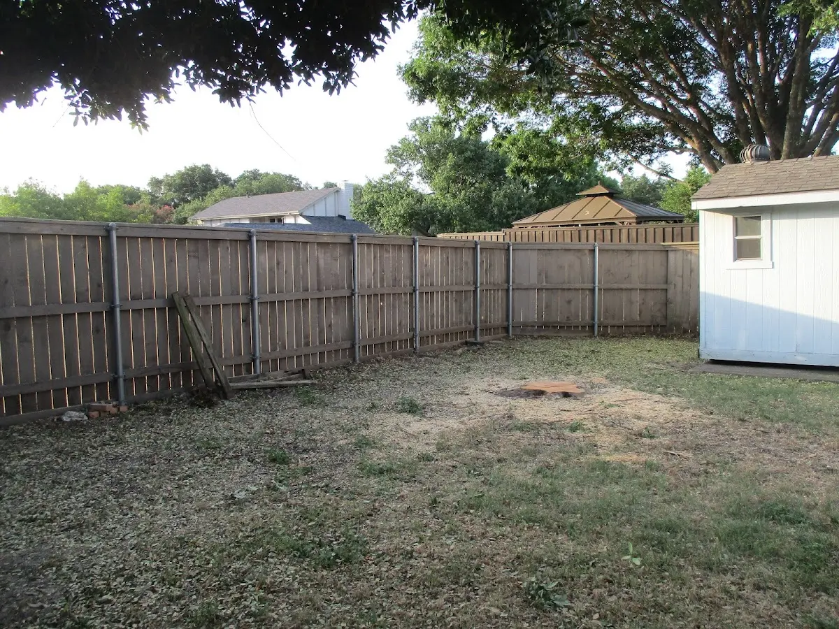 Cleared yard after professional tree removal in Rockaway Park